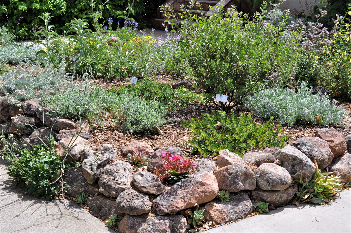 Front yard corner. Photo: Jeff Silva