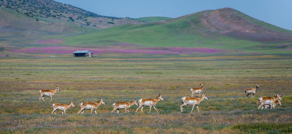 Photo of Las Piletas Ranch