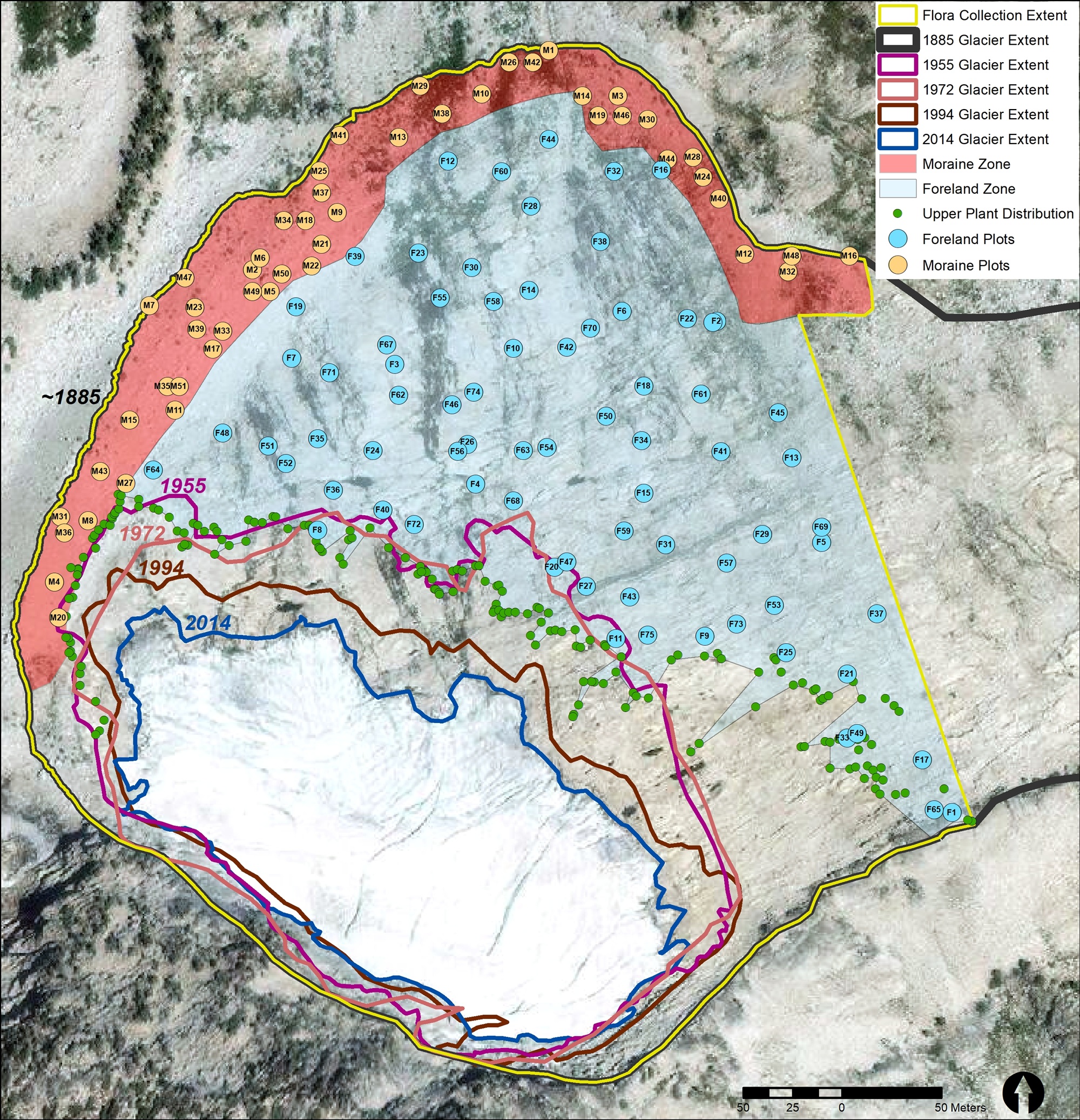 Figure 1: Grizzly Glacier Study Area, Trinity Alps Wilderness, Ca. Digitized glacier outlines from Garwood et al. (2020). Upper plant distributions were mapped during the summer of 2014. Satellite base image date is 26 July 2014.