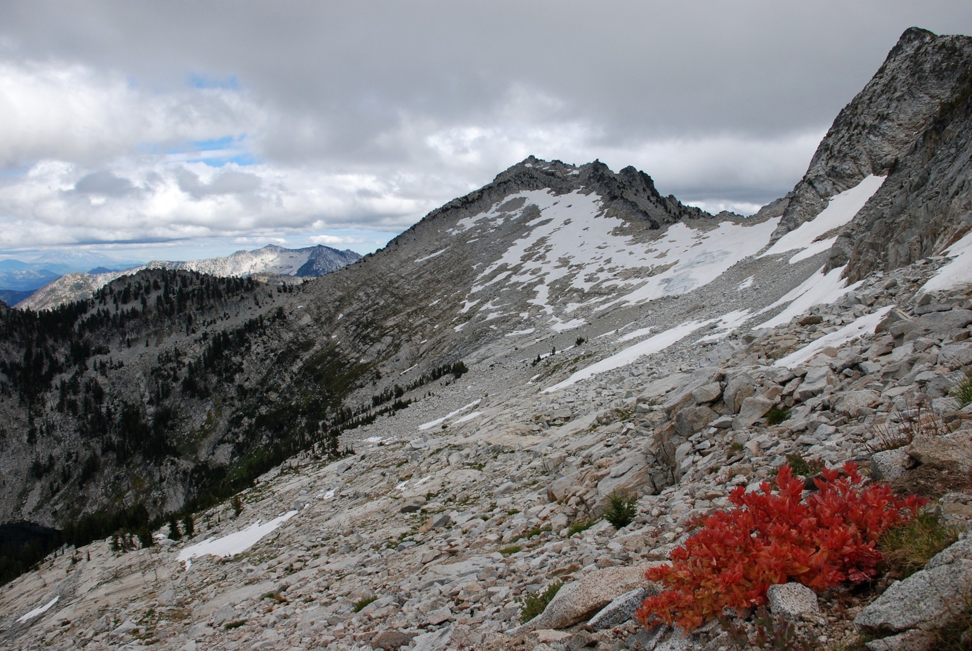 Grizzly Glacier and lingering snowfields clinging to the north face of Thompson Peak with Davis knotweed (Aconogonon davisiae) in peak fall crimson color. (Photo by Justin Garwood, 2010)