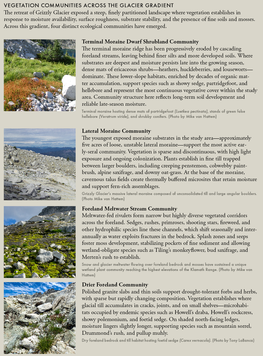 VEGETATION COMMUNITIES ACROSS THE GLACIER GRADIENT 