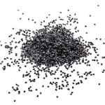 a group of small seeds