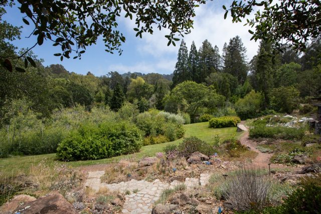 A botanic garden with low shrubs, green grass, and a rocky walking path