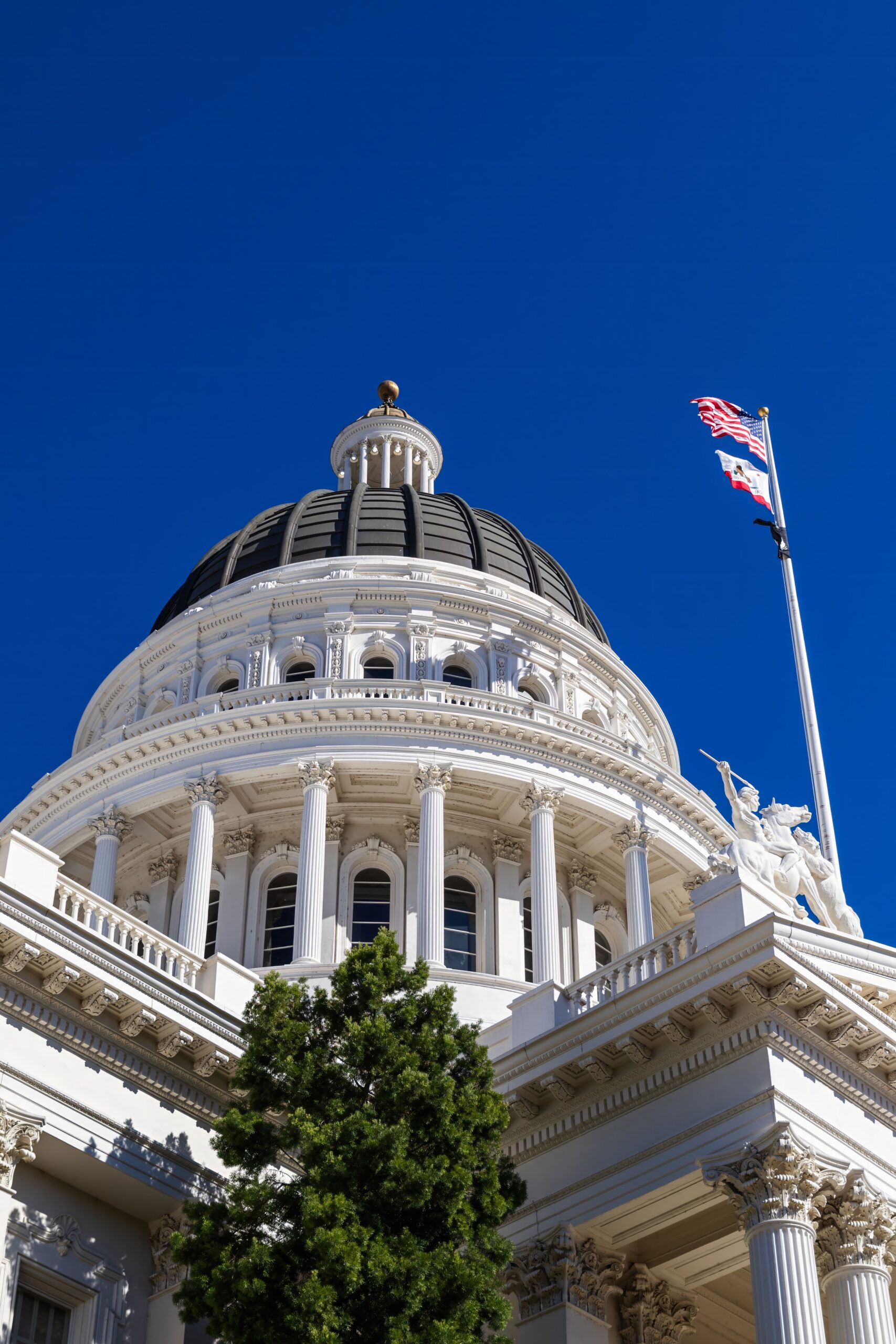 A photo looking up at the California State capitol building with USA and CA flags waving in front of it,