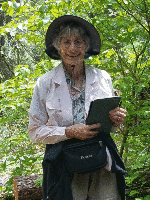 Marjorie McNairn