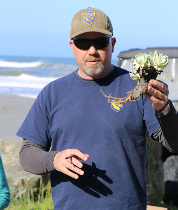 Michael van Hattem explains proper replanting technique.